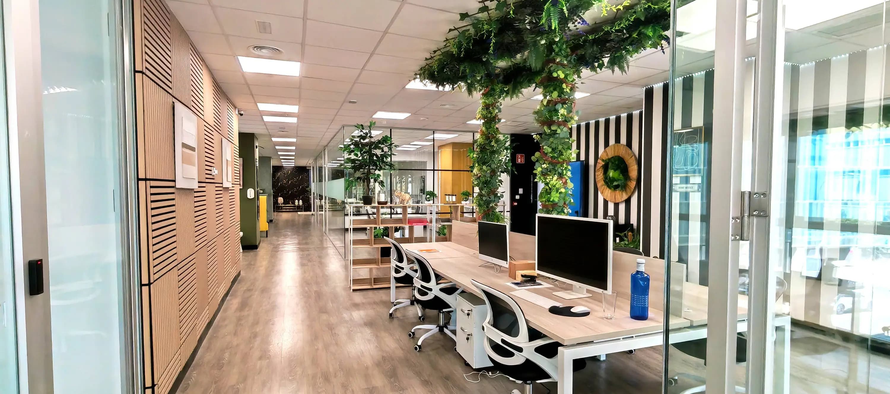 Puestos de coworking con luz natural en Nexus Business Center