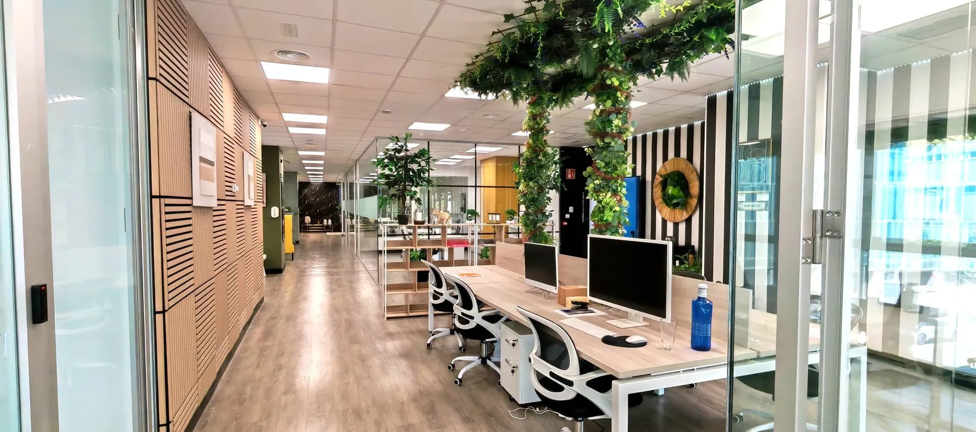 Coworking con luz natural