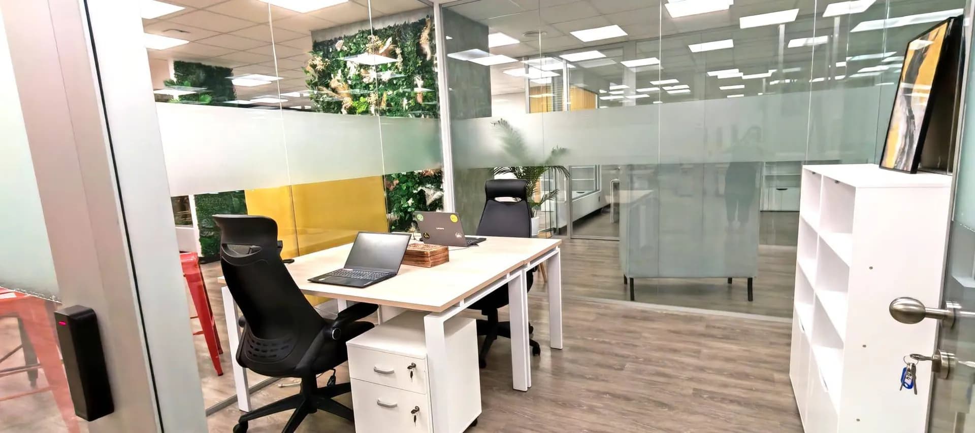 Oficina con vinilo de privacidad en Madrid