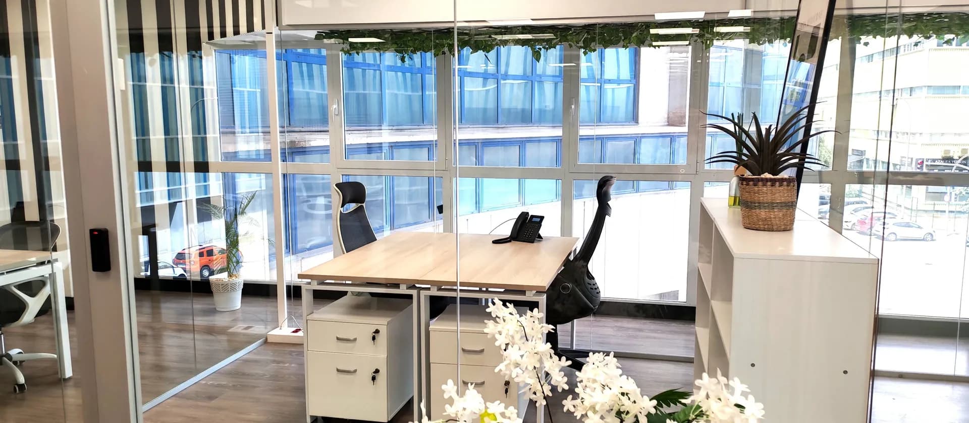 Espacio de trabajo profesional con luz natural